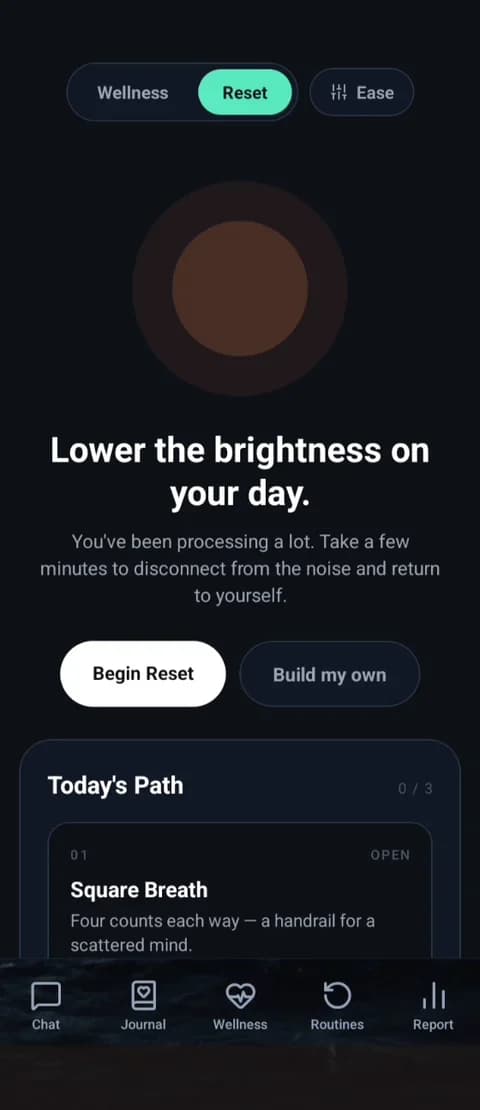 The Sanctum app: a Reset screen that says 'Lower the brightness on your day.'